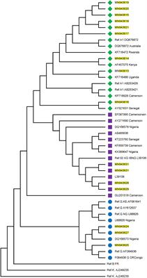 Non-synonymous Substitutions in HIV-1 GAG Are Frequent in Epitopes Outside the Functionally Conserved Regions and Associated With Subtype Differences